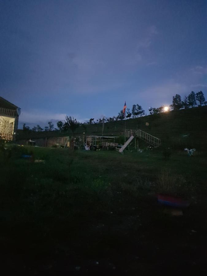 Arevik Artsvakar